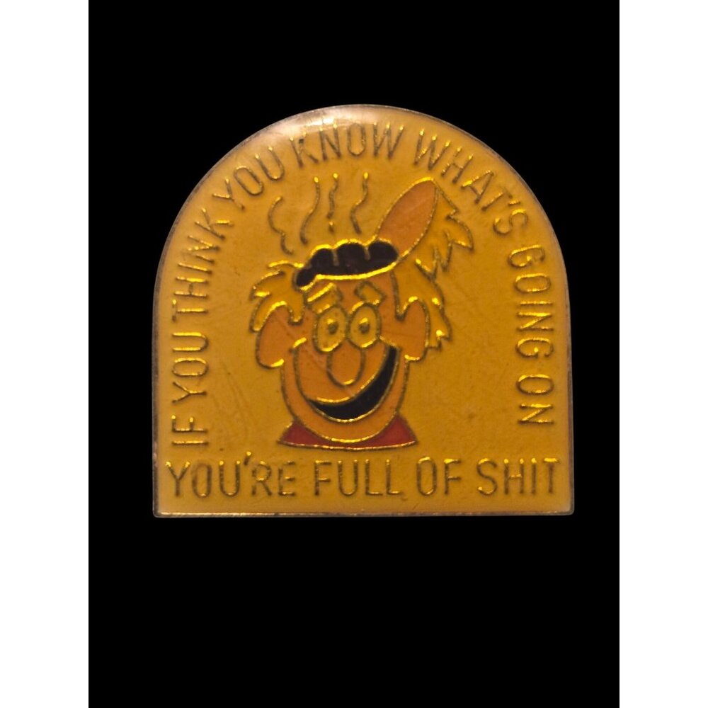 Vintage Mens Hat Lapel  Enamel Pin‎  Humor Funny Conspiracy
